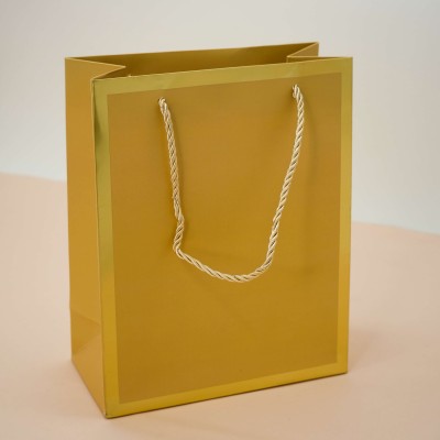 Пакет подарочный (S) «Classic line», gold (24.5*19.5*9.5)