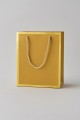 Пакет подарочный (S) «Classic line», gold (24.5*19.5*9.5)