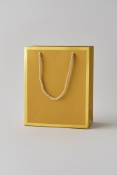 Пакет подарочный (S) «Classic line», gold (24.5*19.5*9.5)