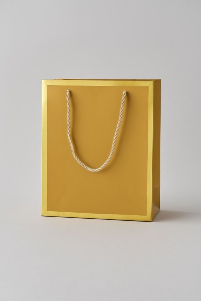 Пакет подарочный (S) «Classic line», gold (24.5*19.5*9.5) 