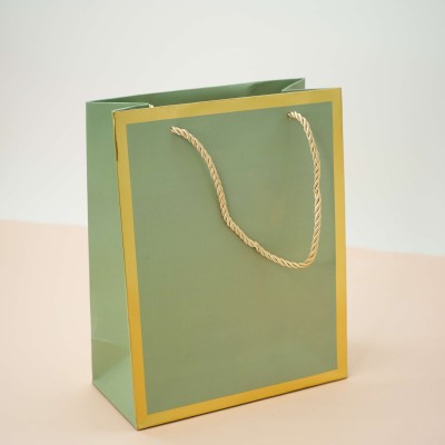 Пакет подарочный (S) «Classic line», green (24.5*19.5*9.5)