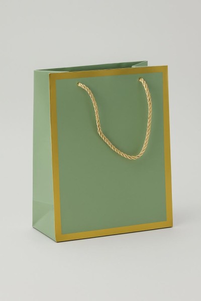 Пакет подарочный (S) «Classic line», green (24.5*19.5*9.5) 
