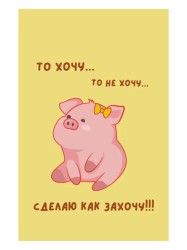 Держатель для карт "Сделаю как захочу" (6,5 х 10,4 см)