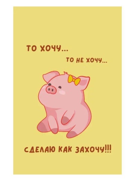 Держатель для карт "Сделаю как захочу" (6,5 х 10,4 см) 