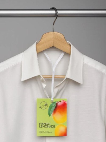 Саше ароматическое "Summer Mangо lemonade", 10 гр 
