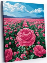 Картина по номерам 40*50 "Поле роз" (24 цвета)
