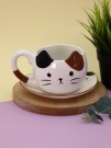 Керамический чайный набор (кружка+блюдце) «Mr. Purr», 430 ml