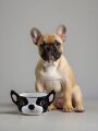 Керамическая миска для животных «French bulldog», 890 ml
