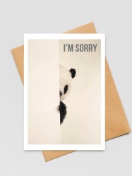 Открытка «I'm sorry», 100*150 мм, 5 шт