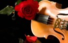 Алмазная мозаика картина стразами "Скрипка с розой", 15х20 см