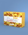 MilotaBox "Duck Box"