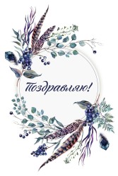 Открытка «Композиция с перьями», 100*150 мм, 5 шт