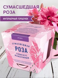 Набор д/выращивания "Тысяча листьев", "Сумасшедшая роза"