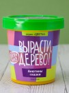 Набор для выращивания "Анютины глазки"