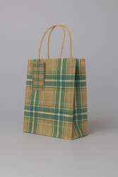 Пакет подарочный «Checkered aesthetics», yellow-green (21*25.5*10)
