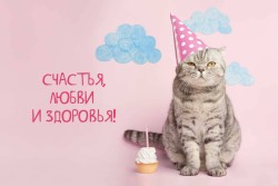 Открытка «Счастья, любви и здоровья», 100*150 мм, 5 шт
