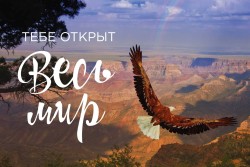 Открытка «Тебе открыт весь мир», 100*150 мм, 5 шт