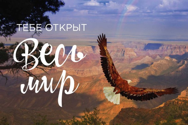 Открытка «Тебе открыт весь мир», 100*150 мм, 5 шт 