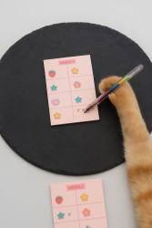 Блок для заметок "Cute daily review", 50 л. 8*12 см