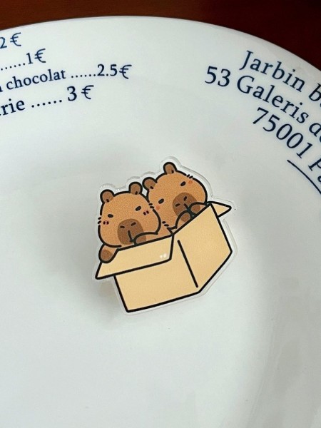 Значок акриловый iLikeGift "Capybaras in a Box" 