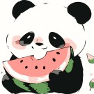Картина по номерам  Draw Me! «Panda with watermelon», (20*20 см)