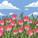 Картина по номерам  Draw Me! «Tulip field», (20*20 см)
