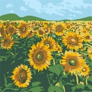 Картина по номерам  Draw Me! «Bright sunflowers», (20*20 см)