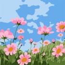 Картина по номерам  Draw Me! «Poppies», (20*20 см)