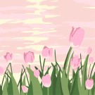 Картина по номерам  Draw Me! «Pink tenderness», (20*20 см)