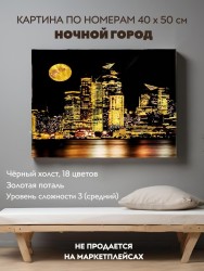 Картина по номерам с поталью 40х50 "НОЧНОЙ ГОРОД" (18 цветов, чёрный холст)