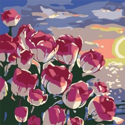 Картина по номерам  Draw Me! «Pink roses», (20*20 см)