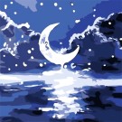 Картина по номерам  Draw Me! «Moon», (20*20 см)