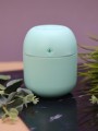 Настольный увлажнитель воздуха - ночник "Lucky flower", green, (портативный, USB)