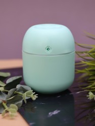 Настольный увлажнитель воздуха - ночник "Lucky flower", green, (портативный, USB)