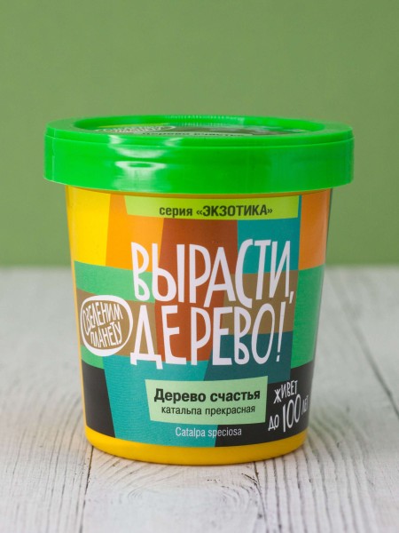 Набор для выращивания "Дерево счастья катальпа" 