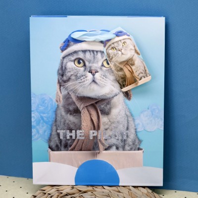Пакет подарочный (S) «The cat», blue (18*23*10)