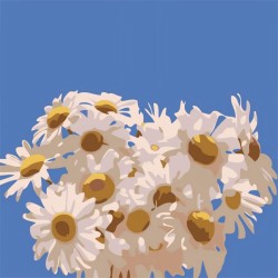 Картина по номерам  Draw Me! «Field daisies», (20*20 см)
