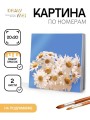 Картина по номерам на подрамнике Draw Me! «Field daisies», (20*20 см)