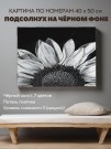 Картина по номерам 40Х50 с поталью платина "ПОДСОЛНУХ НА ЧЁРНОМ ФОНЕ" (7 цв,чёрный холст)