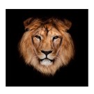 Алмазная мозаика картина стразами "Лев", 15х20 см