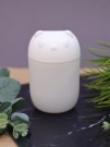 Настольный увлажнитель воздуха - ночник "Bear", white, (портативный, USB)