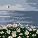 Картина по номерам  Draw Me! «White daisies», (20*20 см)