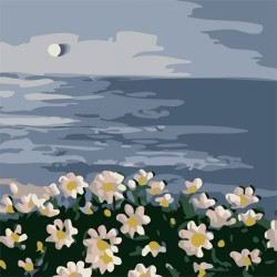 Картина по номерам  Draw Me! «White daisies», (20*20 см)