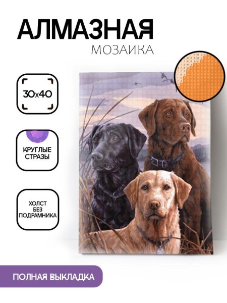 Алмазная мозаика без подрамника "Три лабрадора", 30х40 см 
