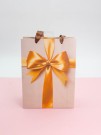 Подарочный пакет (M) "Holiday surprise", (18*24*8,5 см)