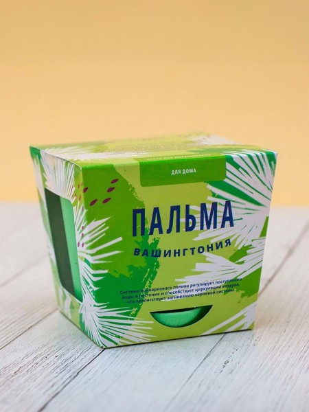 Набор для выращивания "Тысяча листьев", "Пальма Вашингтония" 