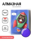 Алмазная мозаика без подрамника "Кот в ракете", 15х20 см