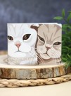 Обложка для студенческого «Sweet pair», плотность 600 мкм