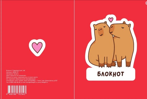 Блокнот А6 «Capybara love» 