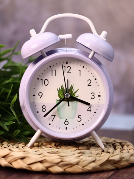 Часы-будильник «Cactus Time» (16,5х12,5 см) 